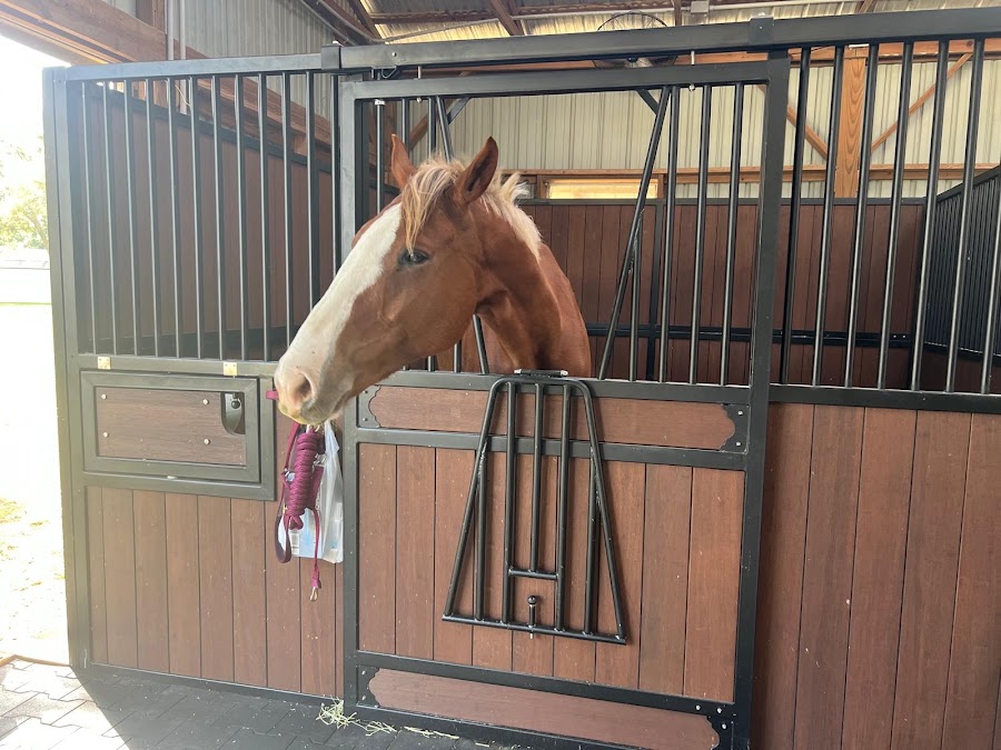 Horse Club Florida